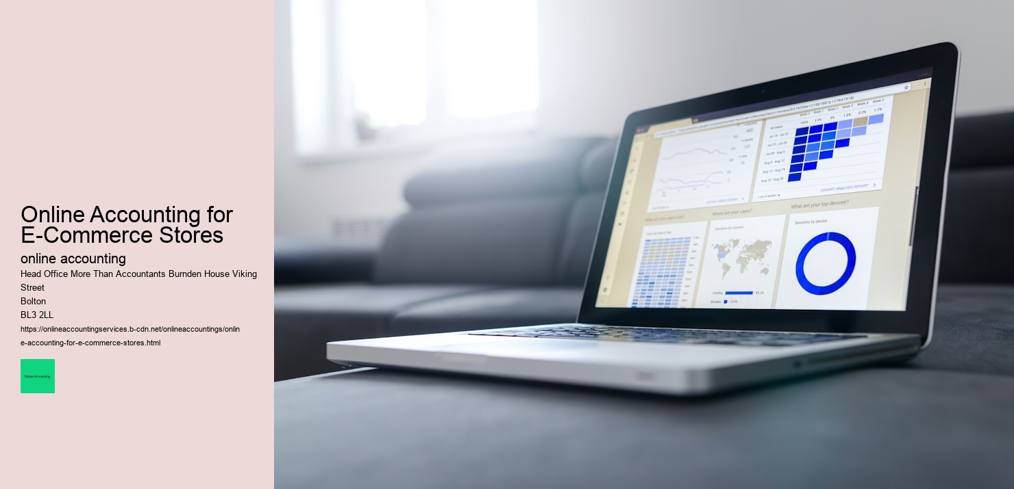 Online Accounting for E-Commerce Stores