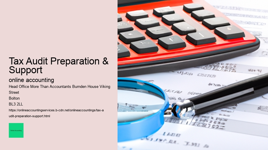 Tax Audit Preparation & Support