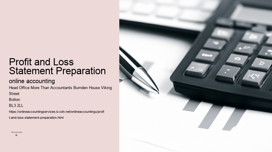 Profit and Loss Statement Preparation